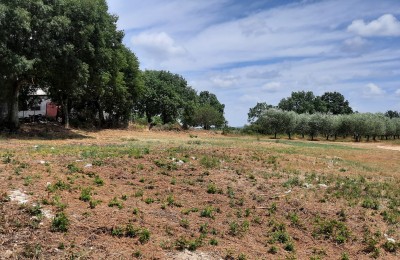 Porec area - Building land in a quiet location, 8 km from the sea