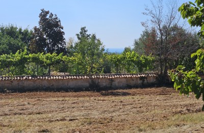 Poreč 13 km - POGLED MORE, Atraktivno građevinsko zemljište na rubu naselja