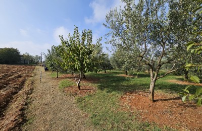 Porec 10 km - Building and agricultural land only 8 km from the sea