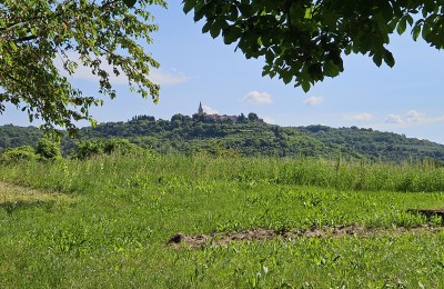 Grožnjan okolica - PRILIKA! Građevinsko zemljište s pogledom na Grožnjan, Motovun i vinograde