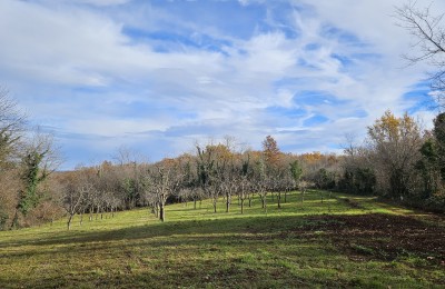 Porec 15 km, Umgebung von Visnjan - Bau- und Landwirtschaftsland, wunderschöne Lage und absolute Ruhe