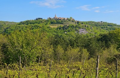 Grođnjan okolica - PRILIKA! Građevinsko zemljište s pogledom na Grožnjan i vinograde