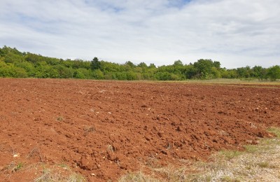 Porec 15 km - Landwirtschaftliche Fläche von 47.489 m2
